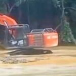 InShot_20250708_140404017_J5pjfgkF6t