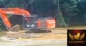 InShot_20250708_140404017_J5pjfgkF6t