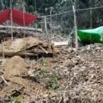 PETI di Bukit Ketam, Desa Segitak Masih Berjalan:Aktivitas PETI Gunakan Mesin Glodongan di Kawasan Hutan Lindung