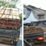 Diduga Modus Peredaran Kayu Ilegal di Melawi Menggunakan Mobil Pick-up APH di Terkesan bungkam